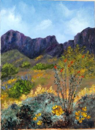 Wildflowers at Picacho Peak