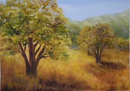 Live Oak Meadow