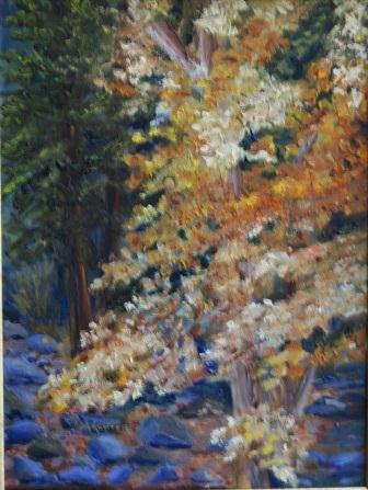 Autumn Sycamore