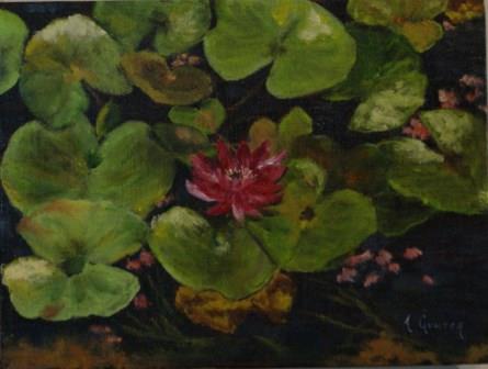 Glowing Waterlilies
