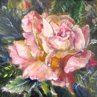 Albuguerque Rose
