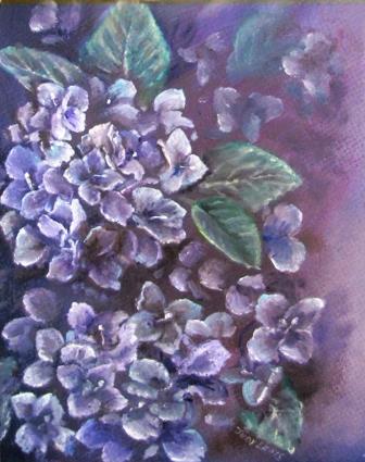 Hydrangeas