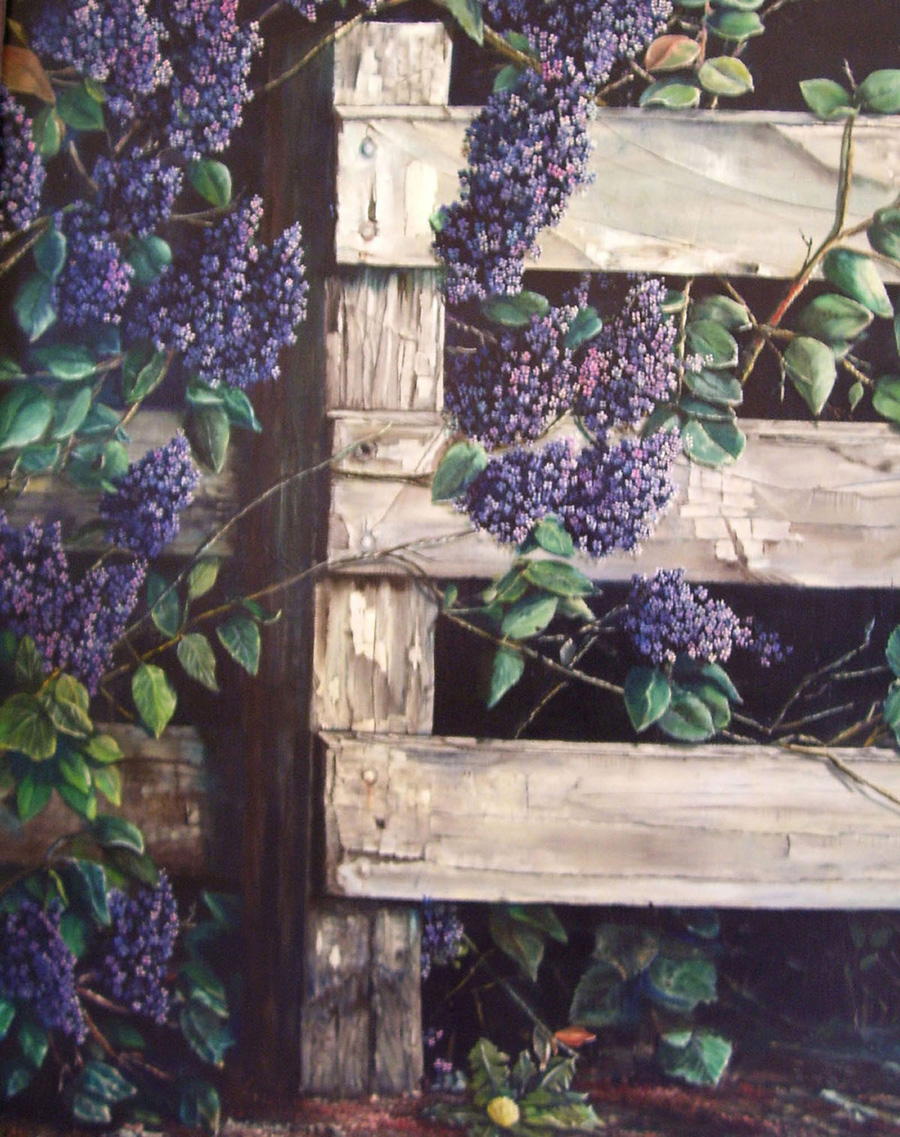 Over the Fence